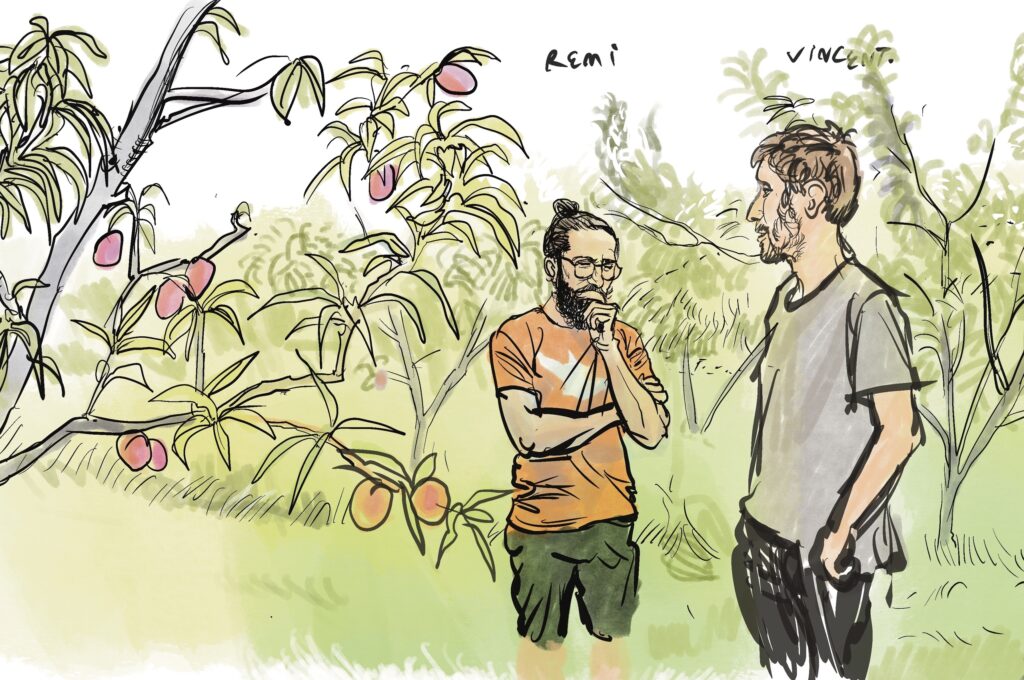 illustration sans titre