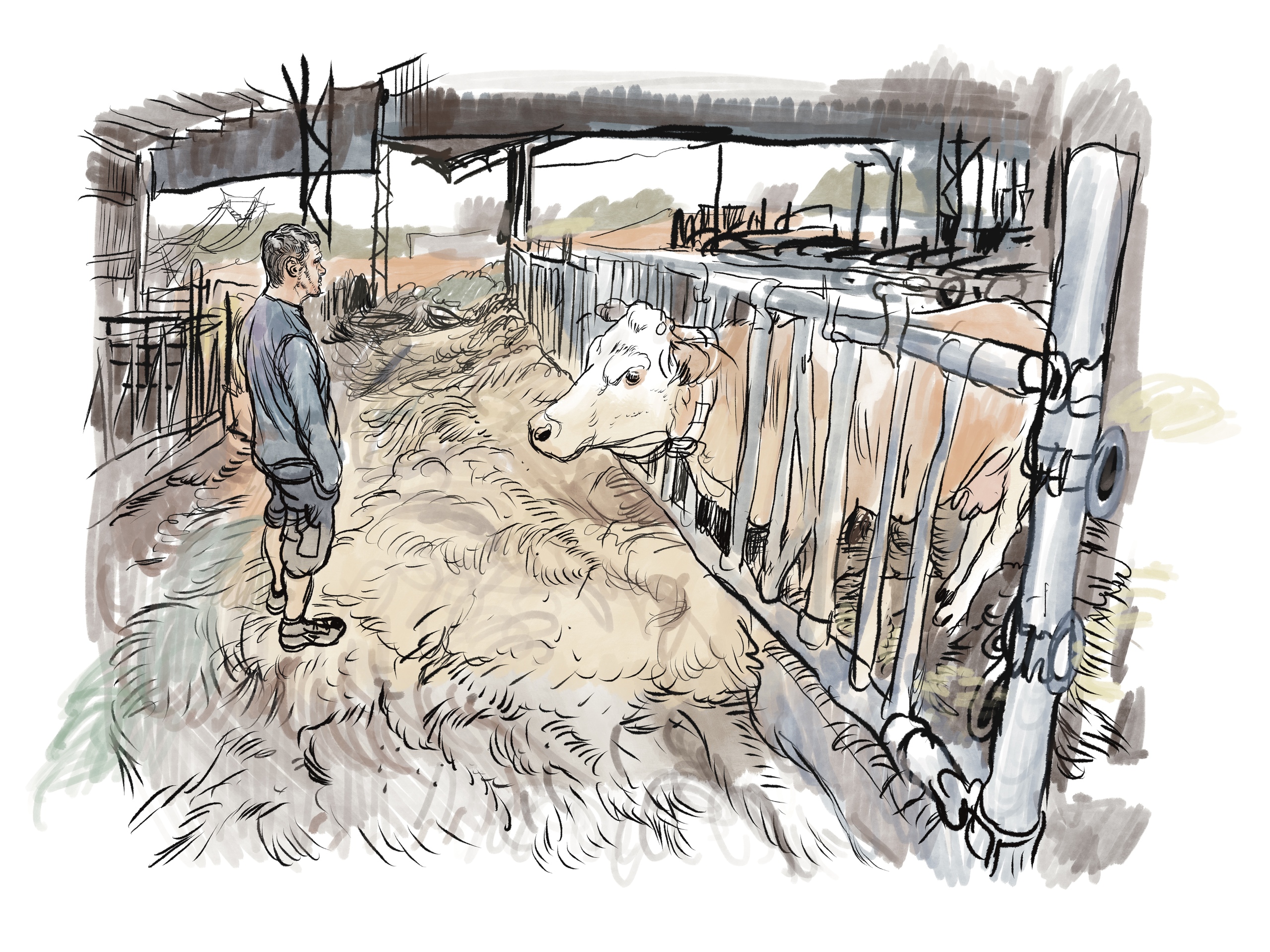 chapitre 7 ferme du pellosset 4