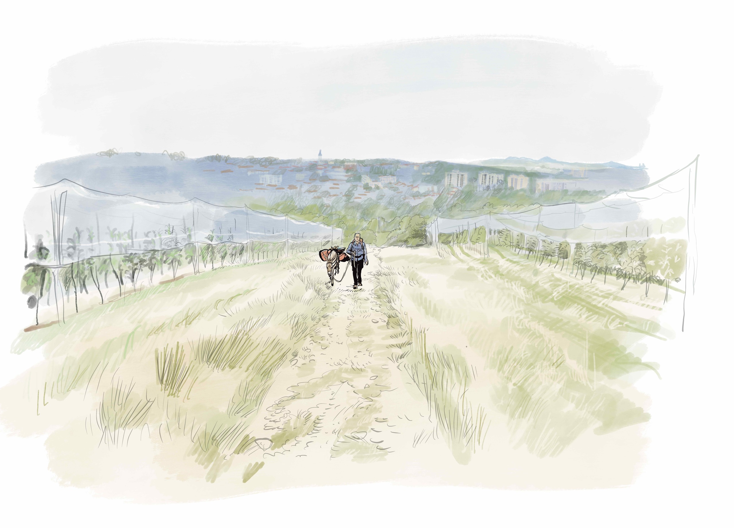 illustration sans titre